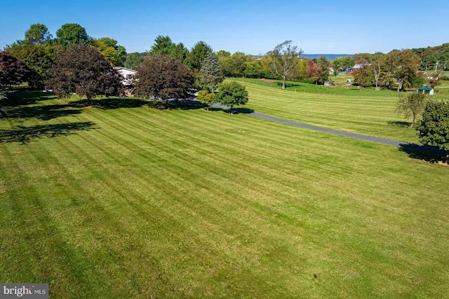 view of yard featuring a rural view