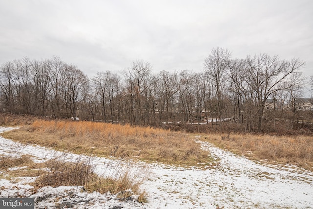 view of snowy landscape