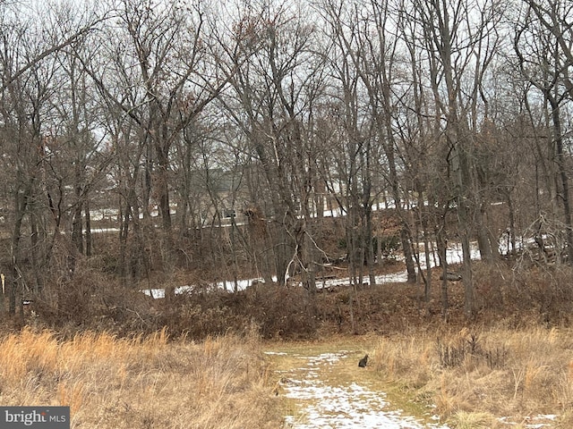 view of local wilderness