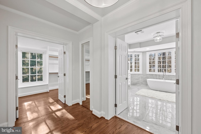 hallway featuring wood-type flooring and ornamental molding