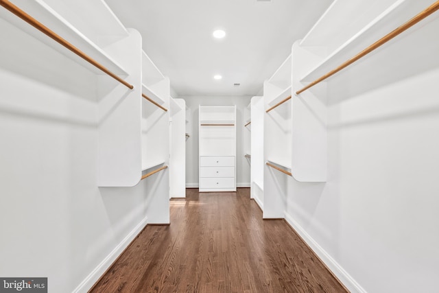 walk in closet featuring dark hardwood / wood-style floors