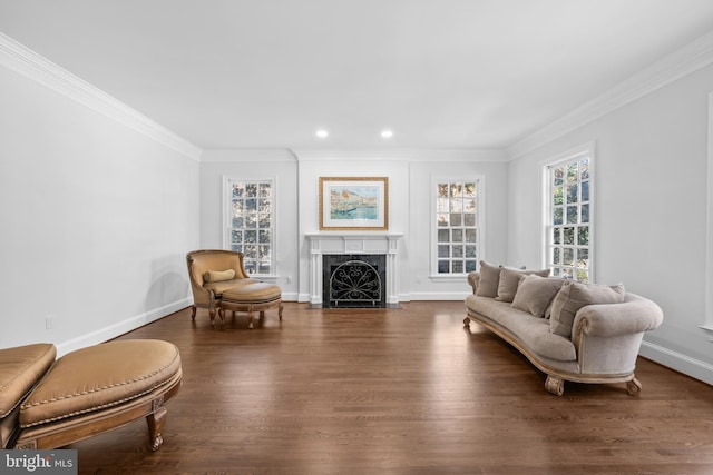 living room featuring dark hardwood / wood-style flooring, crown molding, and a fireplace