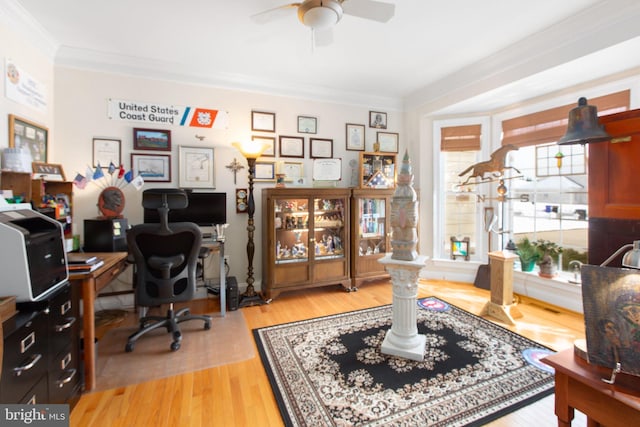 home office with light hardwood / wood-style floors, ceiling fan, and crown molding