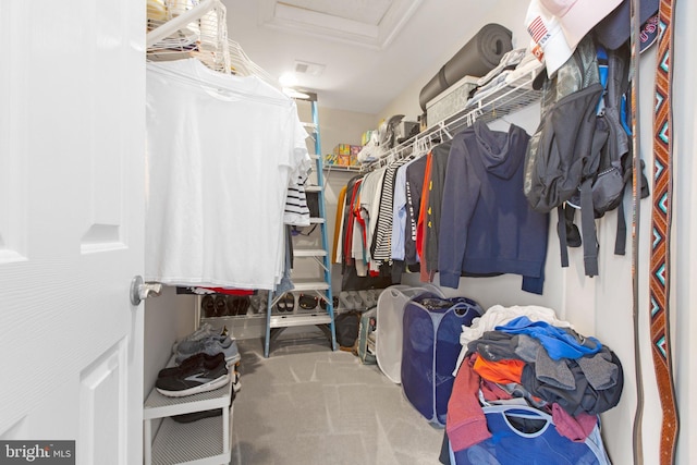 spacious closet featuring carpet flooring