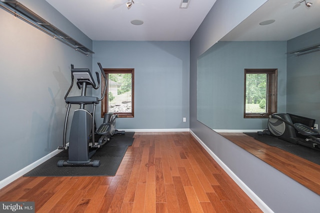 workout area featuring hardwood / wood-style flooring