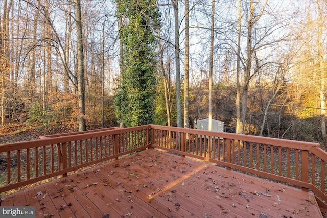 wooden terrace featuring a shed