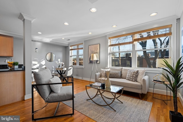 living room featuring ornamental molding and light hardwood / wood-style flooring