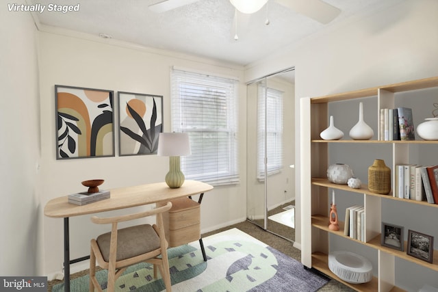 office with carpet flooring, ceiling fan, and ornamental molding