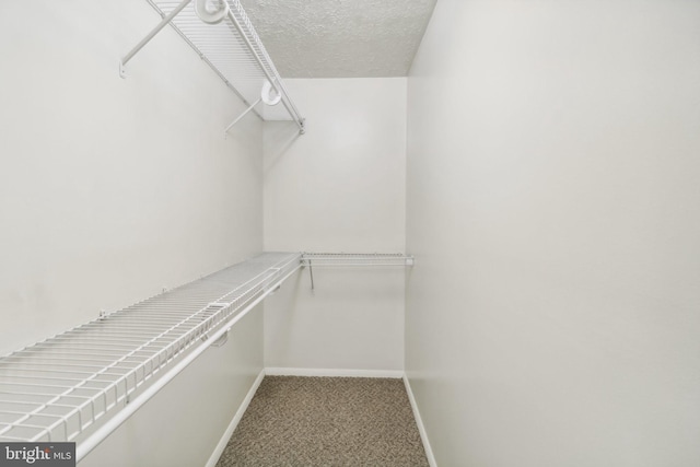 walk in closet with carpet