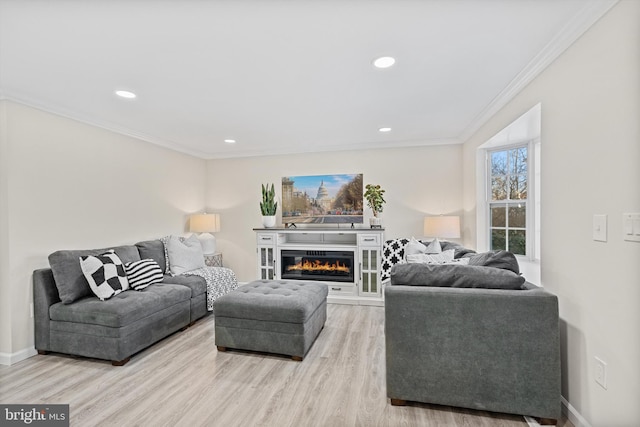 living room featuring wood-type flooring and crown molding