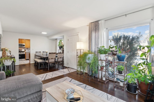 living room with hardwood / wood-style flooring