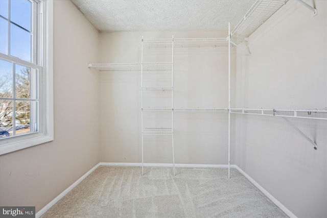 walk in closet featuring light carpet