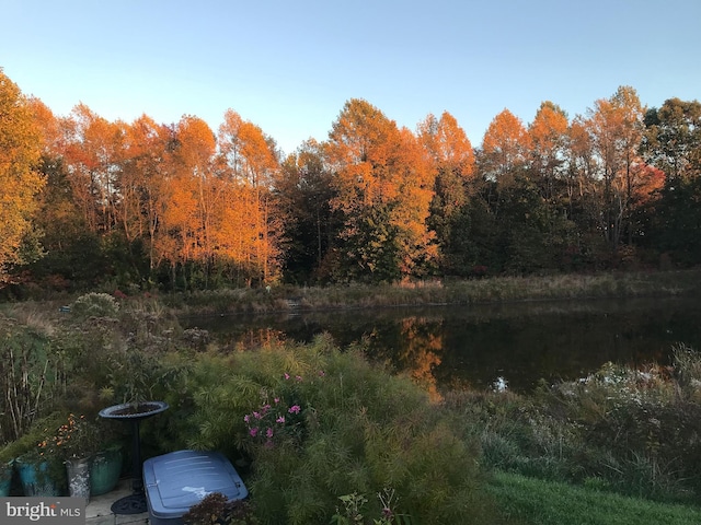 view of yard with a water view