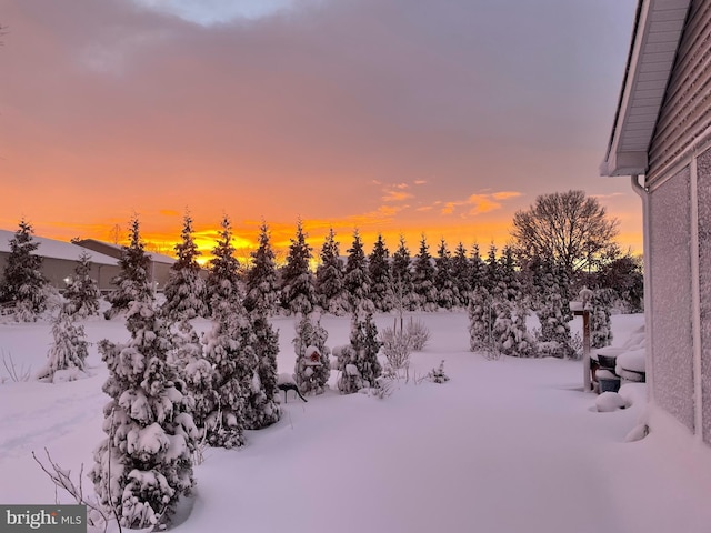 view of snow covered land