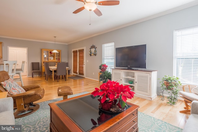 living room with crown molding, light hardwood / wood-style flooring, and a healthy amount of sunlight