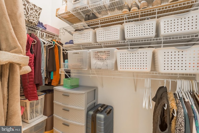 view of spacious closet