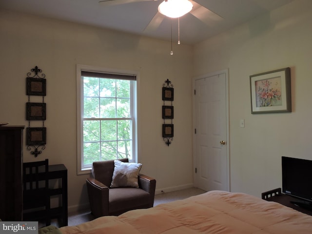 bedroom featuring multiple windows, carpet, and ceiling fan