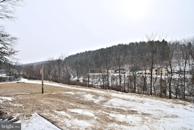 view of yard covered in snow