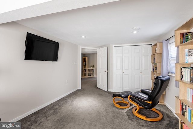 living area featuring carpet flooring