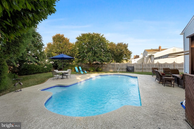 view of swimming pool featuring a patio