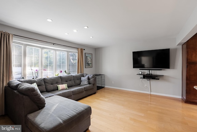 living room featuring light hardwood / wood-style flooring