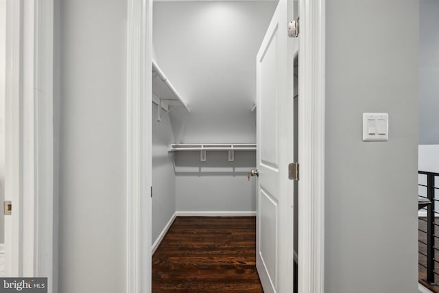 spacious closet featuring dark hardwood / wood-style floors