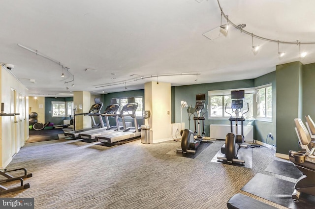 exercise room featuring carpet flooring