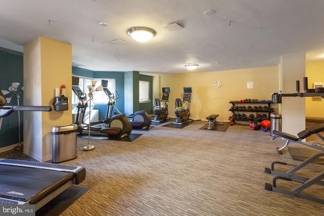 gym featuring carpet