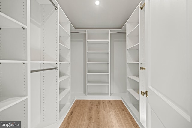 spacious closet with hardwood / wood-style floors