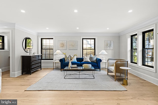 living room featuring light hardwood / wood-style floors and plenty of natural light