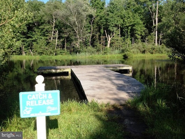 dock area featuring a water view