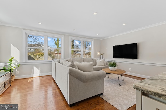 living room featuring light wood-type flooring and crown molding