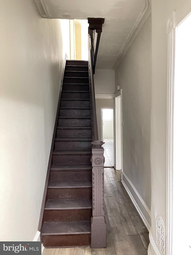 staircase featuring hardwood / wood-style flooring