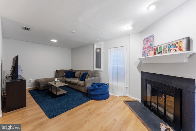 living room featuring wood-type flooring