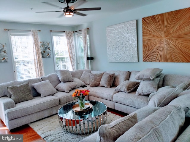 living room featuring ceiling fan and wood-type flooring