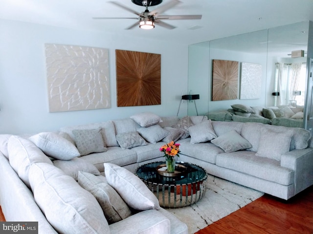 living room featuring ceiling fan and dark hardwood / wood-style flooring