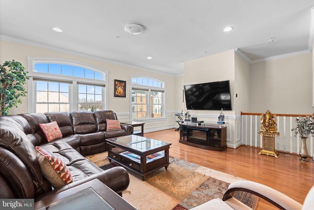 living room featuring crown molding and light hardwood / wood-style floors