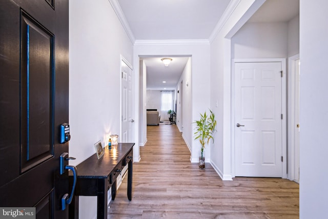 hallway with crown molding and light hardwood / wood-style floors