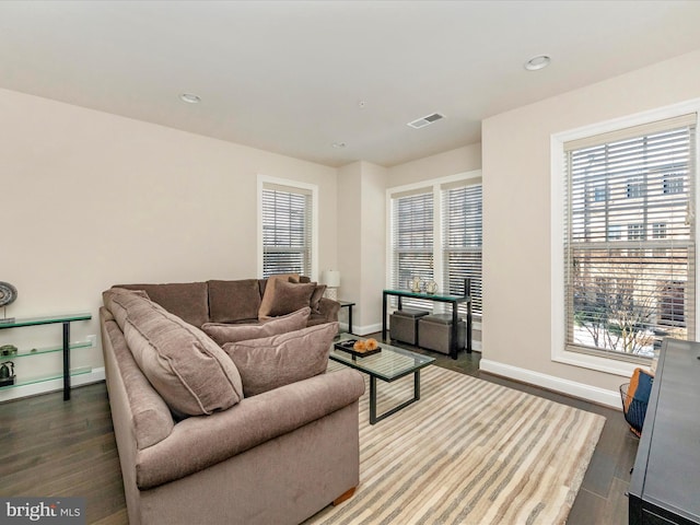 living room featuring dark wood-type flooring