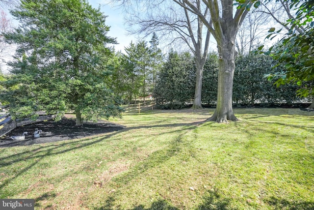 view of yard featuring fence