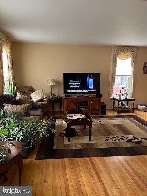 living room featuring wood-type flooring