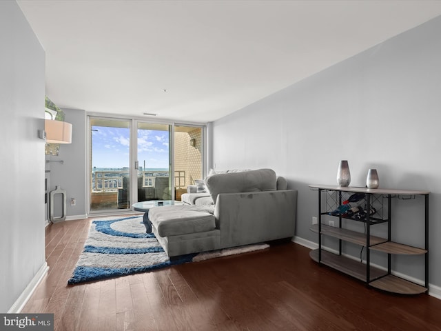 living room with a wall of windows and dark hardwood / wood-style floors