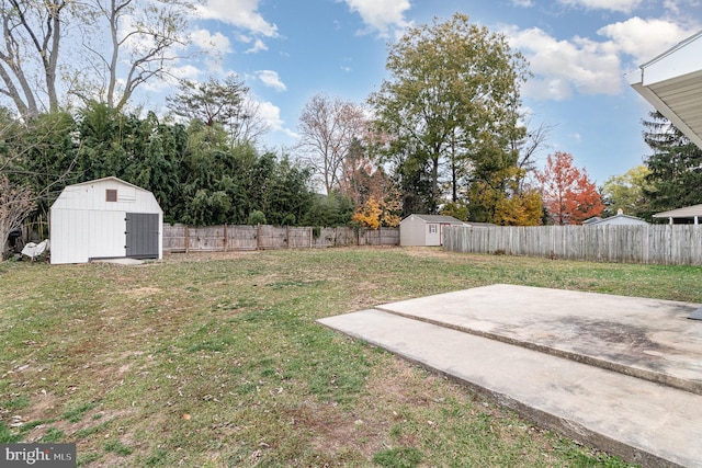 view of yard featuring a patio and a shed