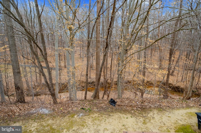 view of local wilderness featuring a view of trees