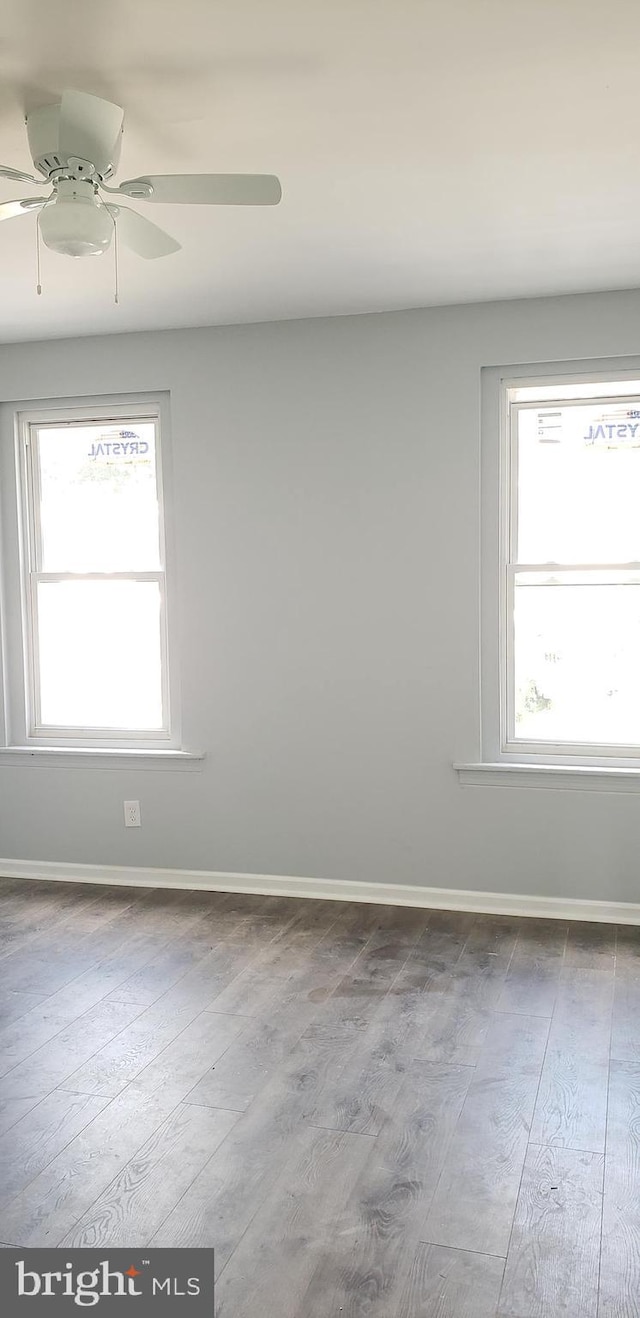 unfurnished room with light wood-type flooring and ceiling fan