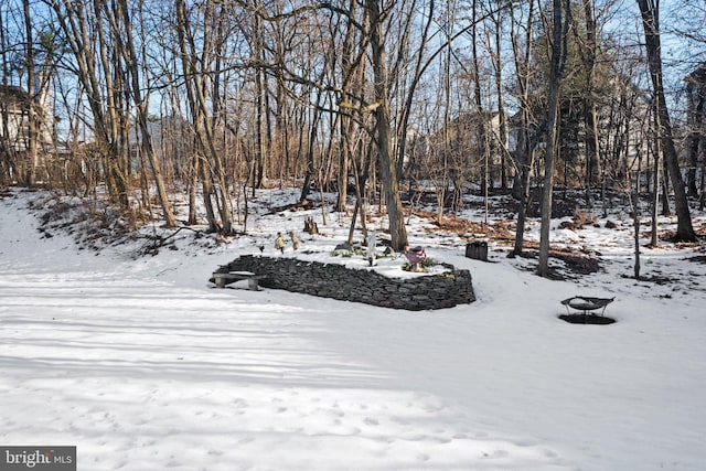 view of snowy yard