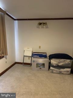 unfurnished room with carpet and crown molding