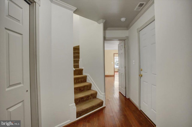 hallway featuring crown molding and dark hardwood / wood-style floors