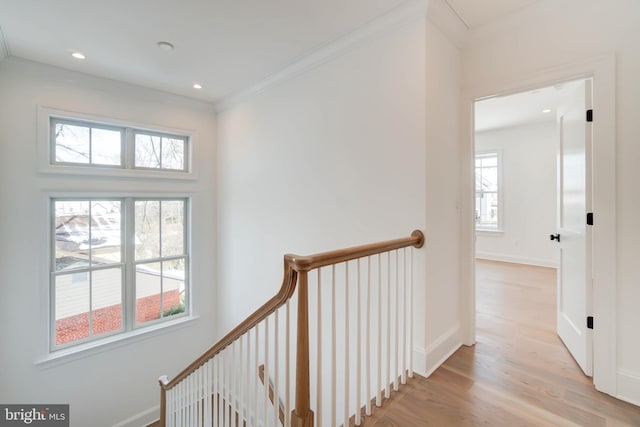 hall featuring light wood-type flooring, plenty of natural light, and ornamental molding