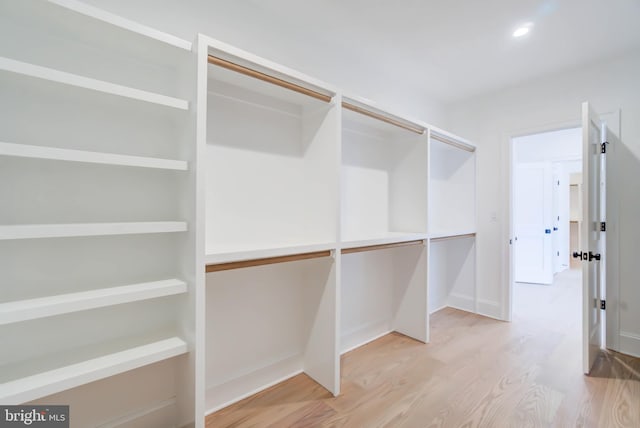 spacious closet featuring light wood-type flooring